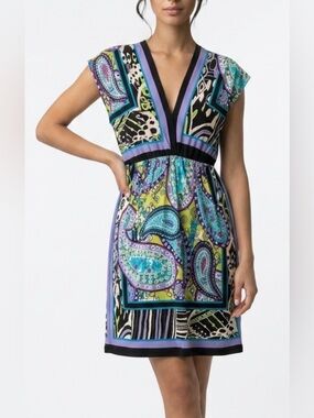 Snap V-Neck Paisley Mini Dress in Teal, Purple & Lime